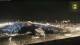 Marsiglia 14.06.2025 23:26