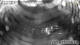 Lech 08.06.2025 23:33