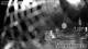 Lech 04.07.2025 23:33