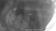 Glenborrodale 08.05.2025 23:34