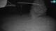 Cerkno 14.06.2025 23:34