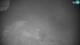Cerkno 21.04.2025 23:34