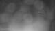 Puerto Rey 01.07.2025 23:34