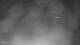 Puerto Rey 02.07.2025 23:34