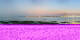 Saint-Brevin-les-Pins 08.06.2025 23:04