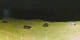 Donville-les-Bains 30.04.2025 23:11