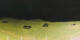 Donville-les-Bains 30.04.2025 23:11