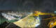 Loctudy 29.04.2025 23:25