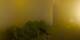Bromont 19.06.2026 23:34