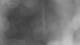 Henne 27.10.2026 23:34