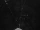 Norden 12.09.2026 23:51