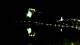 Bled 30.04.2025 23:49