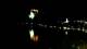 Bled 03.07.2025 23:49