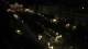 Berlino 14.06.2025 23:49