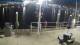 Placida, Florida 30.04.2025 23:50