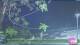 Roncofreddo 30.04.2025 23:51