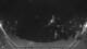 Griffen 07.07.2025 23:51