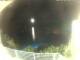 Morcone (Elba) 01.07.2025 23:51