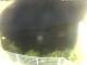 Elba - Morcone 08.06.2025 23:51