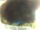 Morcone (Elba) 13.07.2025 23:55