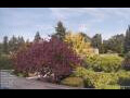 Webcam Son en Breugel