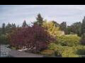 Webcam Son en Breugel