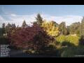 Webcam Son en Breugel