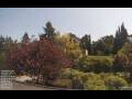 Webcam Son en Breugel