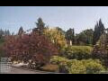 Webcam Son en Breugel