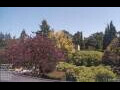 Webcam Son en Breugel