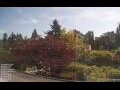 Webcam Son en Breugel