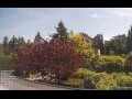 Webcam Son en Breugel