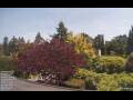 Webcam Son en Breugel
