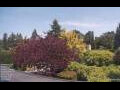 Webcam Son en Breugel