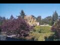 Webcam Son en Breugel