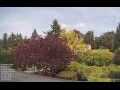 Webcam Son en Breugel
