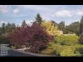 Webcam Son en Breugel