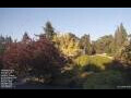 Webcam Son en Breugel