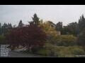 Webcam Son en Breugel