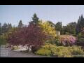 Webcam Son en Breugel