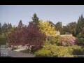 Webcam Son en Breugel