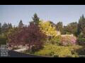 Webcam Son en Breugel