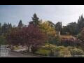 Webcam Son en Breugel