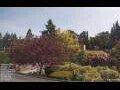 Webcam Son en Breugel