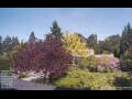 Webcam Son en Breugel