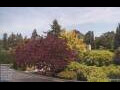 Webcam Son en Breugel