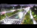 Webcam Te Atatu South