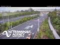 Webcam Te Atatu South