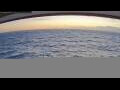 Webcam Norwegian Jewel