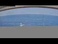 Webcam Norwegian Jewel